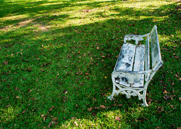 Old white field chairs on the lawn