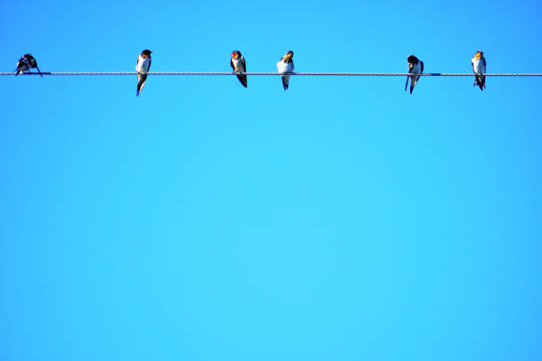 This is a picture taken in Kumamoto, Japan