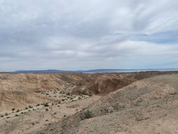 istock Anzo-Borrego Desert State Park 2159883300