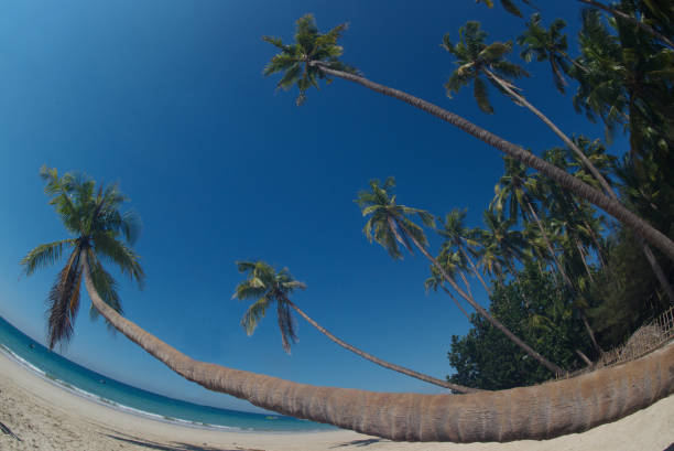 istock Ngapali Beach is a beautiful beach in Myanmar. Clean white beaches, blue waters and beautiful rows of palm trees along the coast. 2159886193
