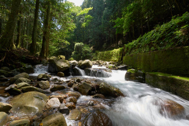 istock [Shinshiro] Spring scenery of fresh greenery and mountain streams 2159888057