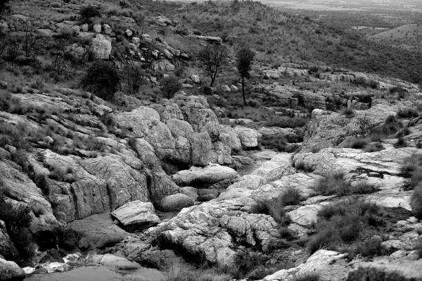 Rustenburg Nature Reserve.