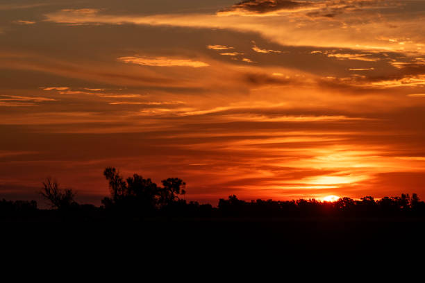 istock Sundown on Ashbridge Road Riverina Area NSW 2159896435