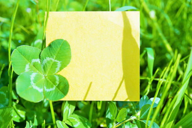 A cropped view of a woman holding a blank notepad against a natural green background.