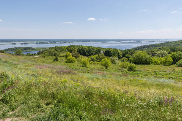istock High river bank with high grass on foreground in summer 2159896702