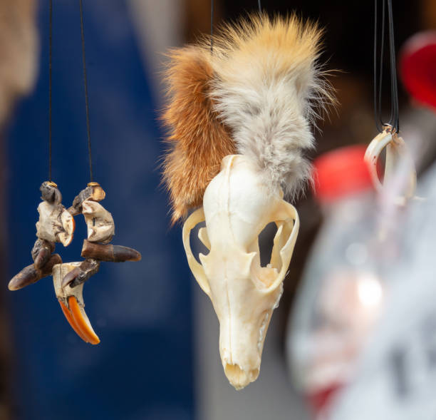 Pendant with animal claws. Close-up
