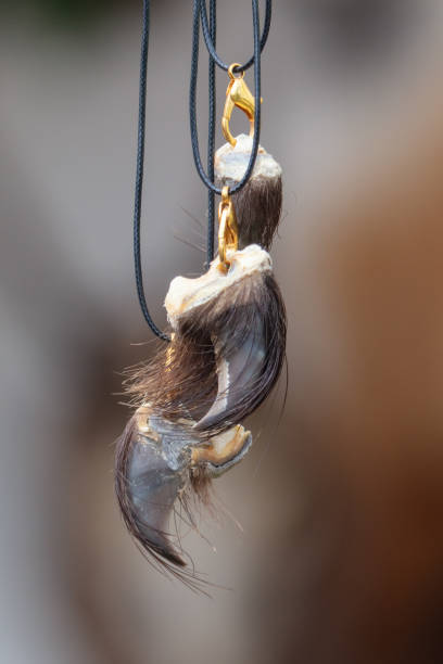 istock Pendant with animal claws. Close-up 2159900337