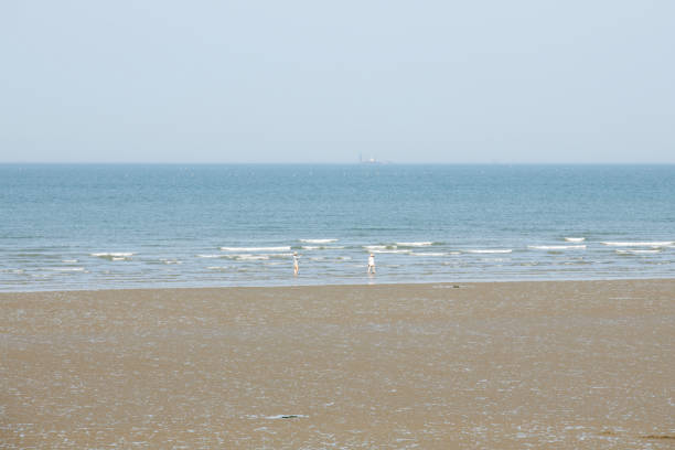 idyllic landscape at the seaside
