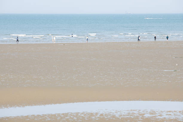 idyllic landscape at the seaside