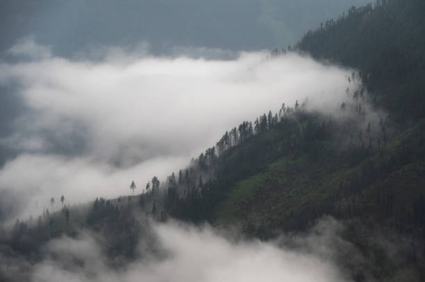alpine landscape with a clouds partially covering the mountains  inside Val di fassa, Dolomites, Italy