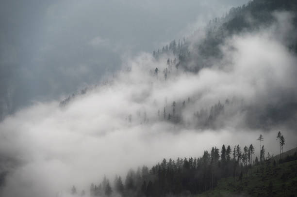 istock landscape inside Val di Fassa, Dolomites, Italy 2159902357