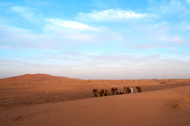 istock Sunrise at Sahara Desert 2159904050