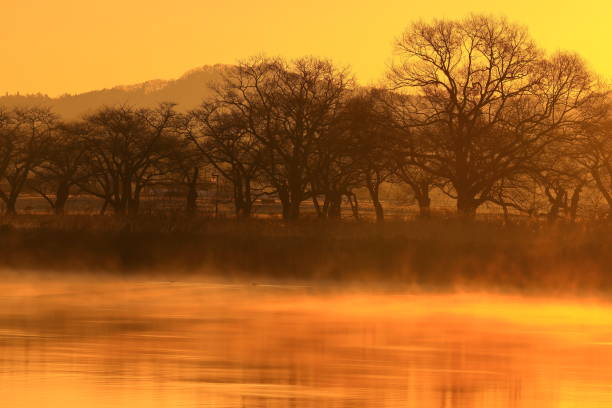 Morning mist landscape