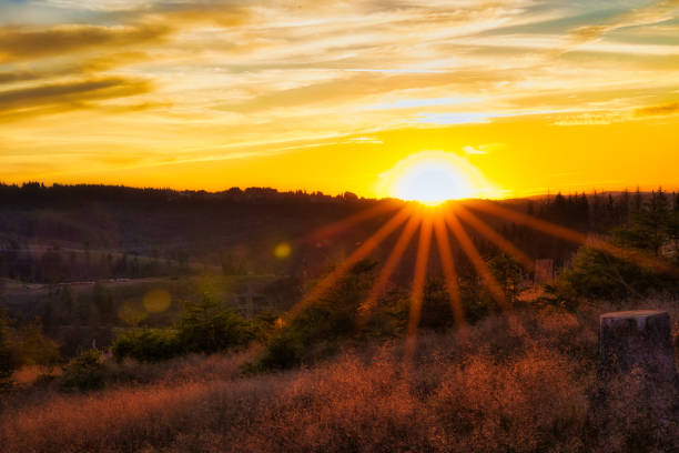 Sunset on the Rennsteig in the Thuringian Forest