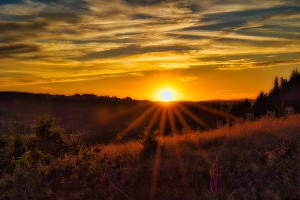 Sunset on the Rennsteig in the Thuringian Forest