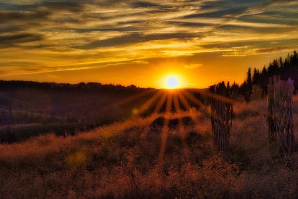 Sunset on the Rennsteig in the Thuringian Forest