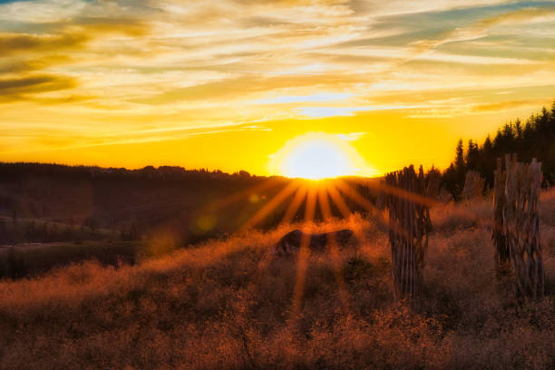 Sunset on the Rennsteig in the Thuringian Forest