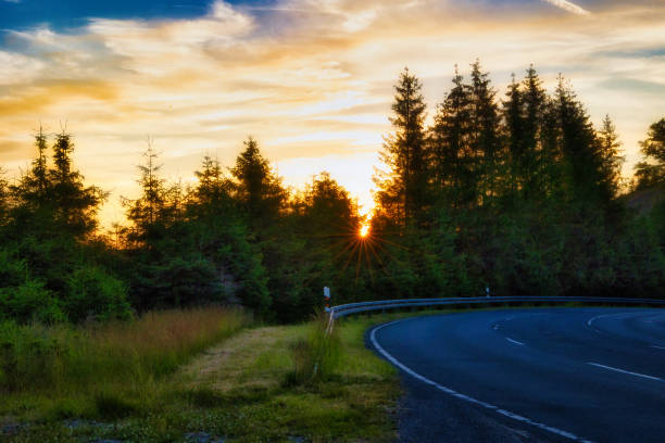 Sunset on the Rennsteig in the Thuringian Forest
