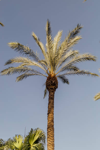 Lalla Hasna Park in Marrakech