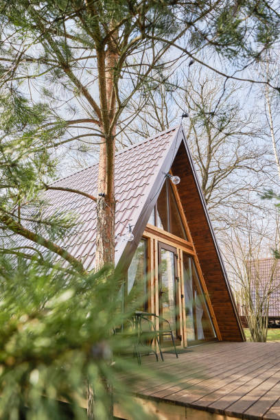 istock A-frame wooden cabin with a blurred pine tree on foreground 2159907401