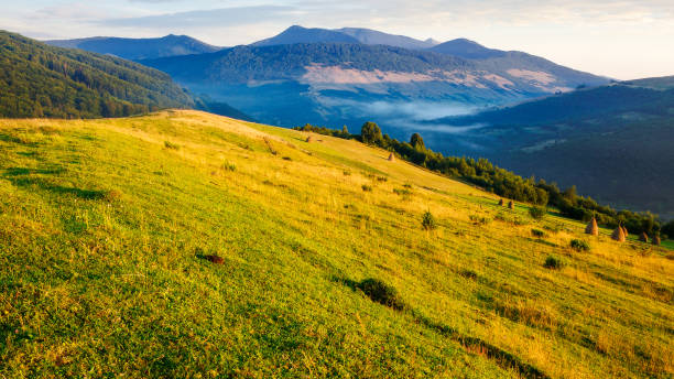 istock mountainous countryside in summer 2159914021