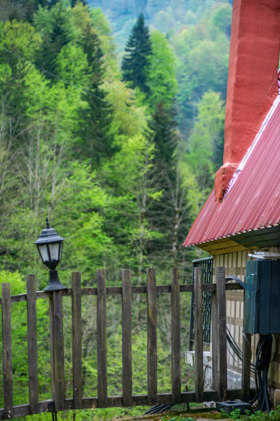 A serene view of green trees surrounding a house with fences, showcasing the tranquil and picturesque countryside landscape.