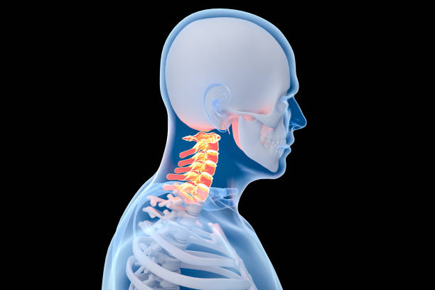 istock Torso men under X-rays. backbone is highlighted in red. isolated on black.5 2159915258