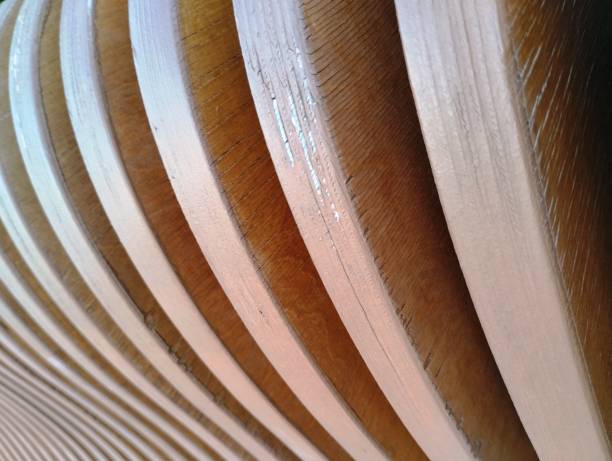 istock wooden animal lines 2159915431
