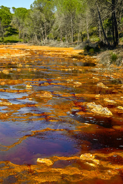 istock Iron Sulfate Patterns in the Waters of Rio Tinto 2159919006
