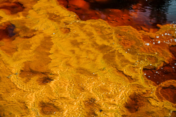 Rippling water flows over textured yellow sediments in a river, creating an intricate natural pattern