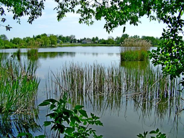istock Countryside Pond on a Summer Day 2159921274