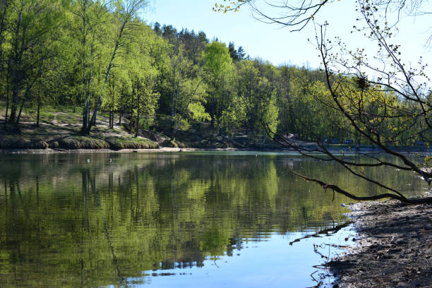 istock a lake with a forest in the background 2159922813