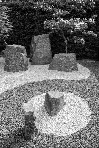 Japanese garden with flowering Kousa dogwood