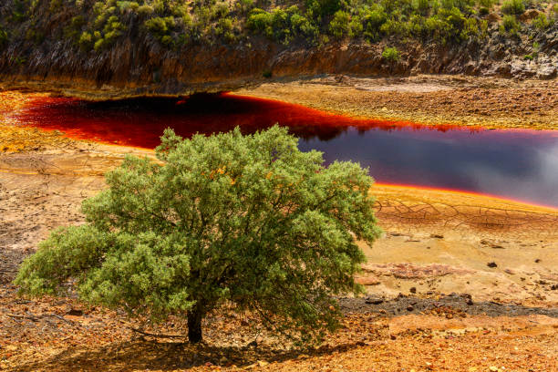 Rich, rust-colored waters of Rio Tinto reflecting the verdant riverside landscape in a serene setting