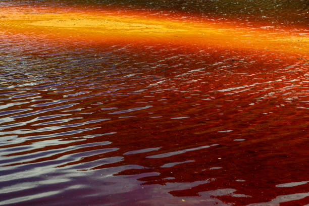 istock Vibrant Rio Tinto River with Iron-rich Red Waters 2159931371