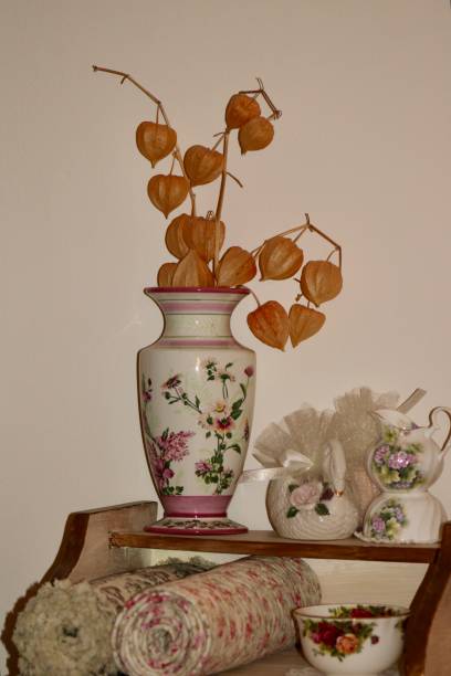 istock Chinese Lantern Plant 2159932510