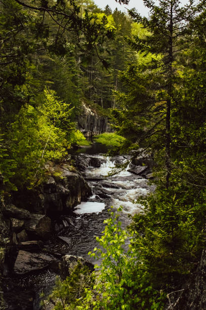 istock Gulf Hagas Down The Canyon 2159933288