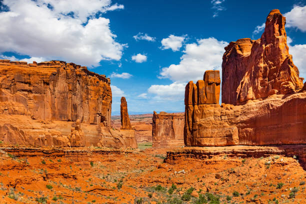 istock The majestic compositions 2159934719