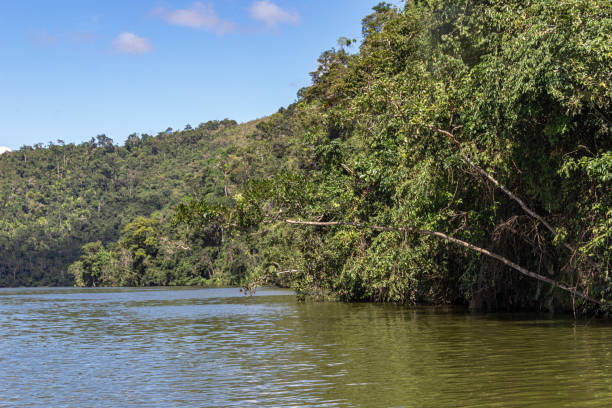 istock Azul Lagoon - Tarapoto, Peru 2159935888