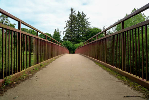 istock Foot Bridge Over a Rural River on an Overcast Summer Morning 2159936697