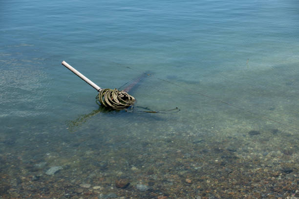 istock Abandoned Anchor 2159939460