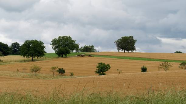 istock A landscape in southern Germany 2159943394