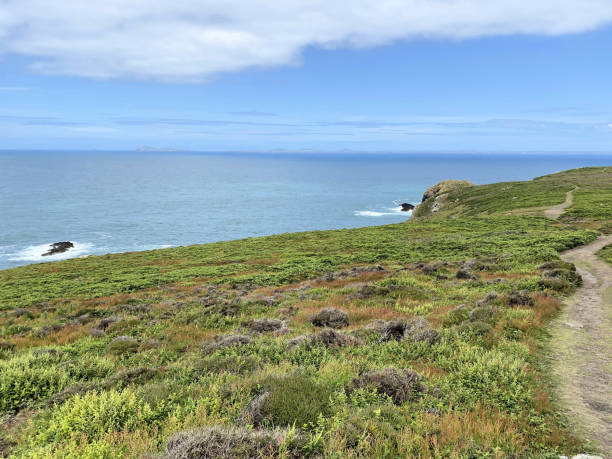 istock A view of Skomer Island 2159943794