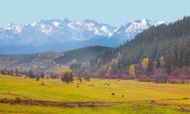 istock Beautiful autumn landscape with    Karcal mountain range - Savsat, Turkey 2159951996