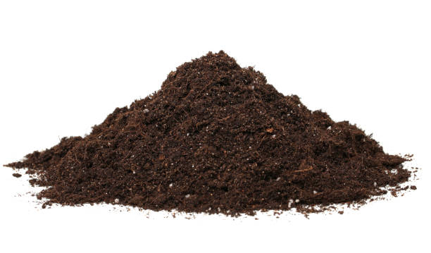 Heap of soil isolated on white stock photo