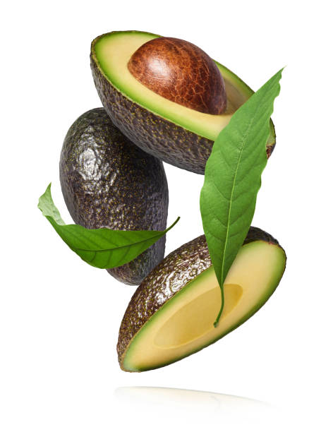 istock Fresh ripe avocado falling in the air isolated 2159952856