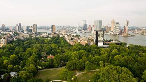 istock Panoramic view of Rotterdam, Netherlands 2159953845