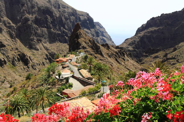 istock Picturesque landscape in Canary Islands 2159954831