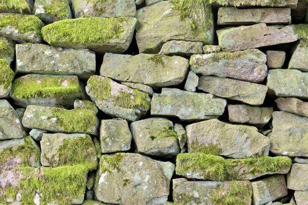 istock Mossy dry stone wall. 2159955020