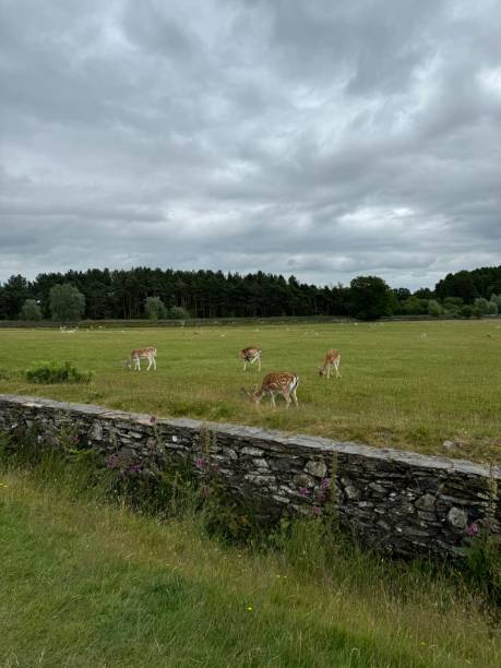 istock English Countryside 2159955896